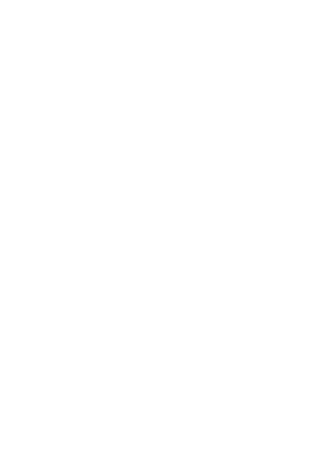The Bearded Researcher mark